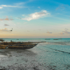 zanzibar (1)
